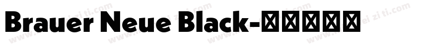 Brauer Neue Black字体转换